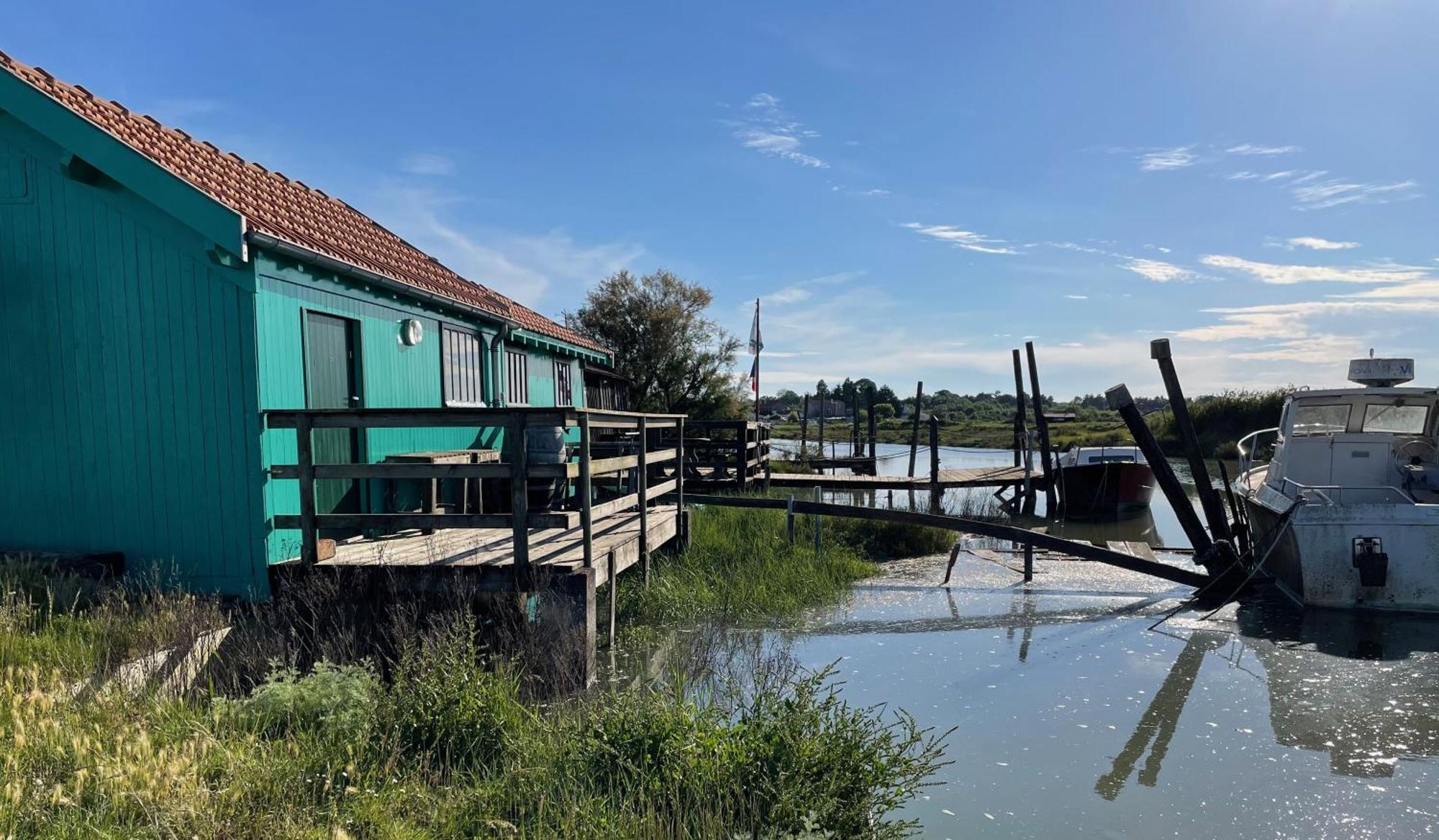 Charming Ecolodge In A Quiet Area, Heated Pool All Year Charente-Maritime Les Mathes Extérieur photo